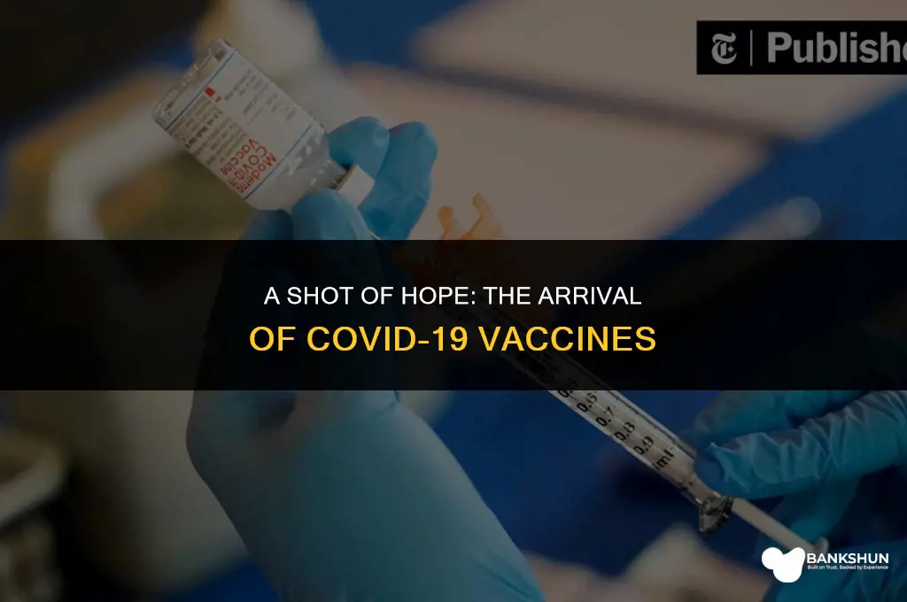 when did vaccine come out for covid]